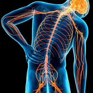 Restaxil gegen chronische Rückenschmerzen